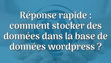 Réponse rapide : comment stocker des données dans la base de données wordpress ?